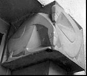 G&auml;nse von Vera von Reitzenstein, 1954