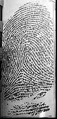 Fingerabdruck von Jean-Pierre Zangger, 1981