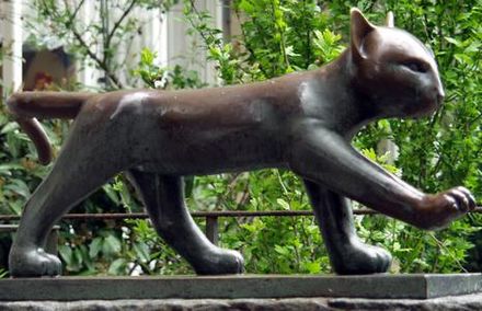 Wildkatze von Franz Peter Wilde, 1937