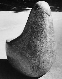 Vogel von Vera von Reitzenstein, 1958