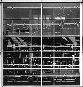 Puls von Renate Buser, 1995