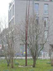 Gr&auml;ser von Bruno Gasser, 2002