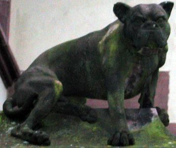 Bulldogge von Carl Gutknecht, 1920