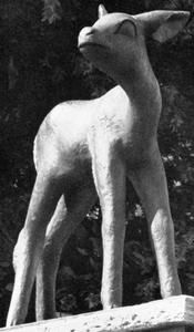 Junges Reh von Franz Peter Wilde, 1940