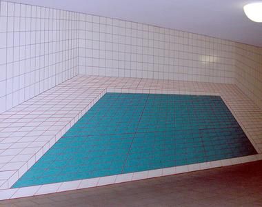 F&uuml;r Nischtschwimmer von Franz P&ouml;singer, 1978